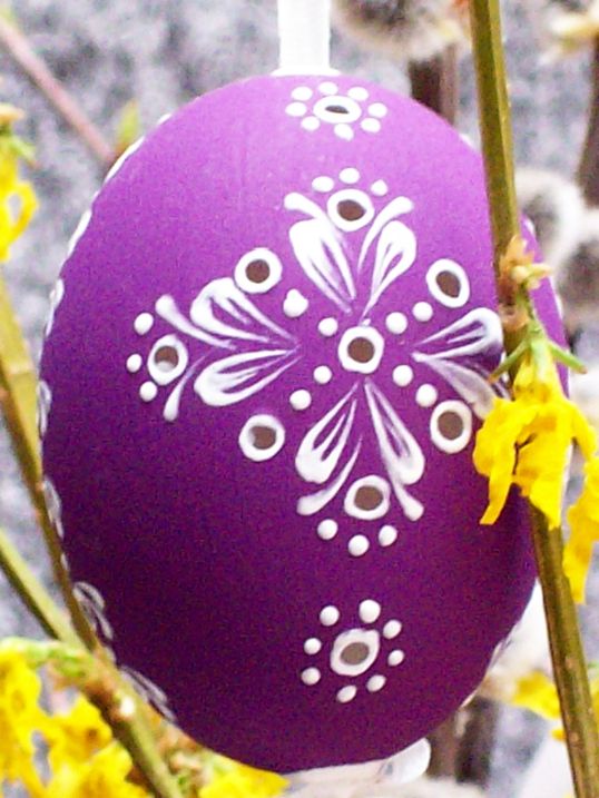 100_4753.jpg