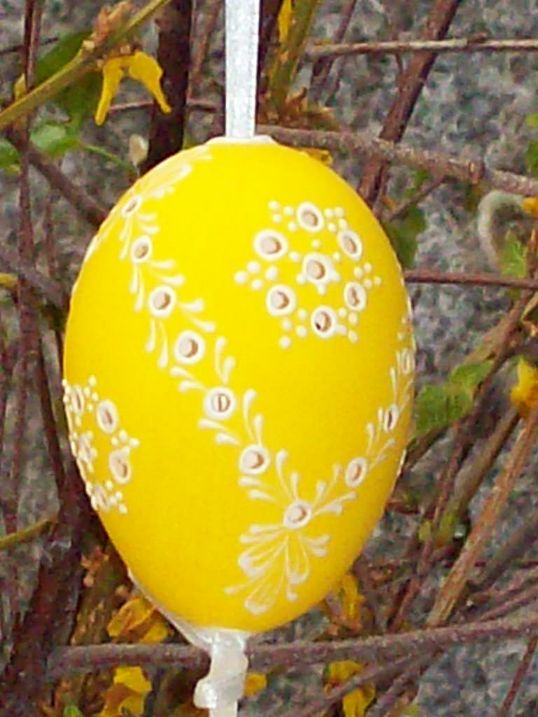 100_4758.jpg