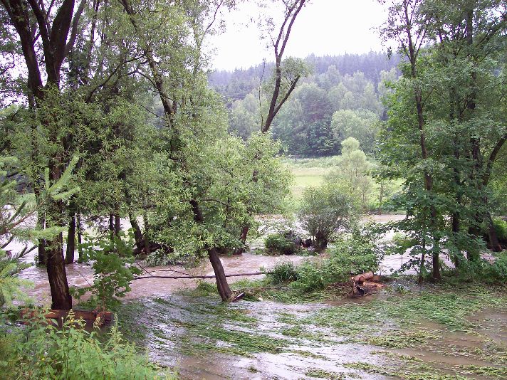 20090628_32.jpg