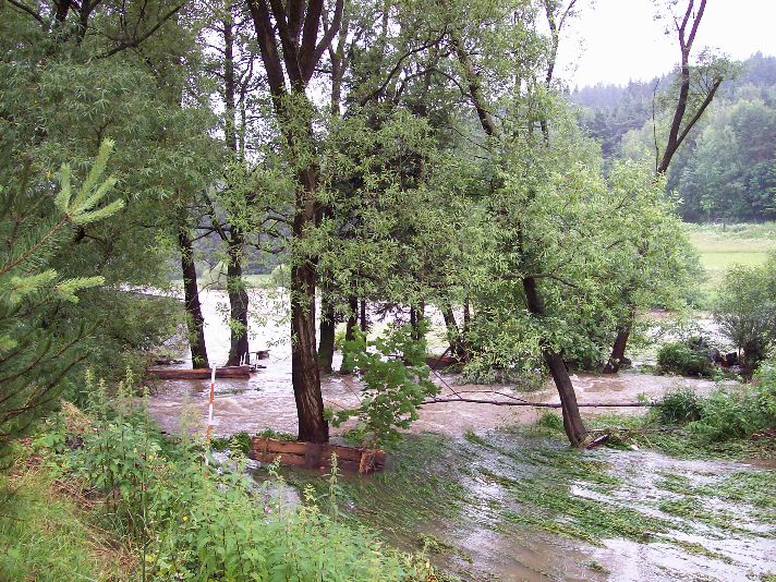 20090628_34.jpg