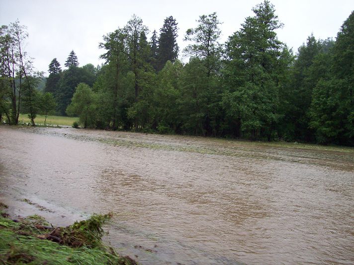 20090628_44.jpg