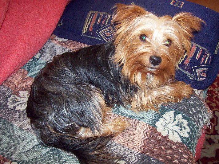 20091116_130.jpg