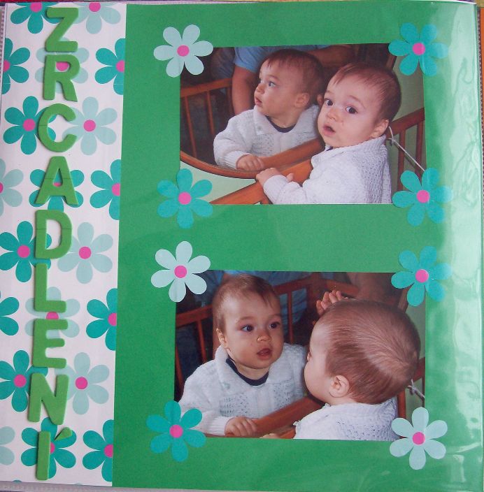 20100201_5.jpg