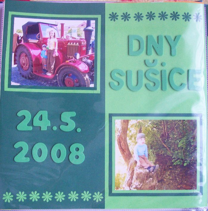 20100201_8.jpg