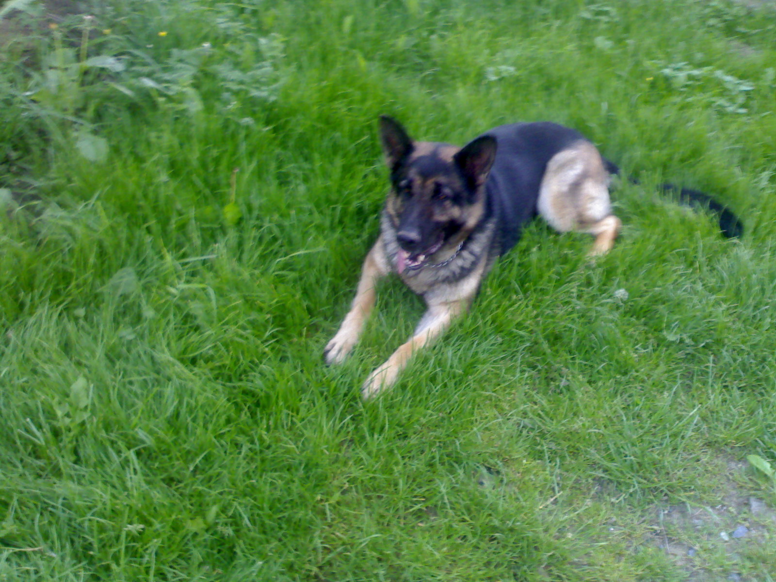 28052008632.jpg